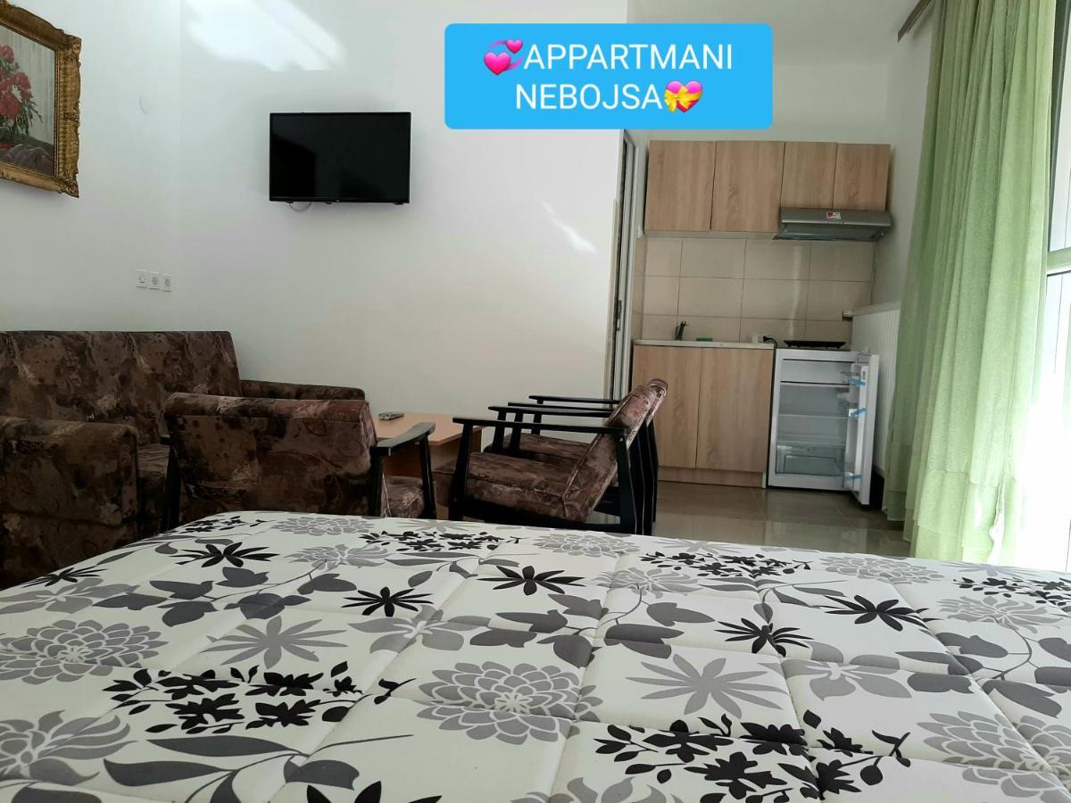 Apartments Nebojsa Soko Banja Bagian luar foto