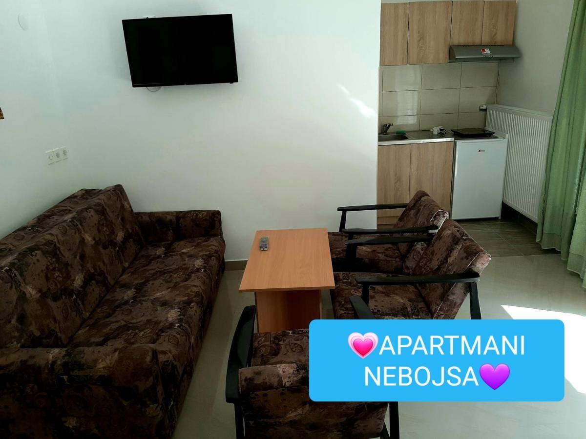 Apartments Nebojsa Soko Banja Bagian luar foto