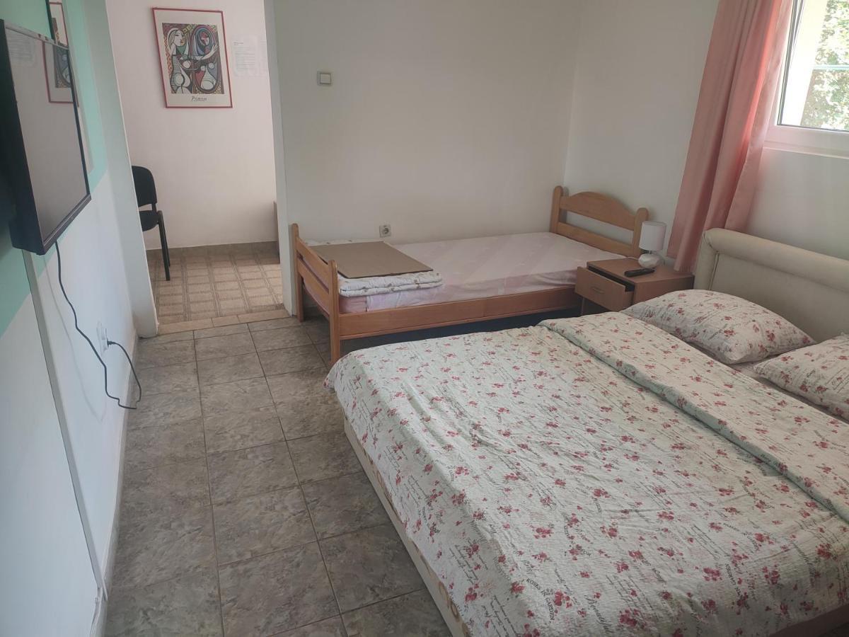 Apartments Nebojsa Soko Banja Bagian luar foto
