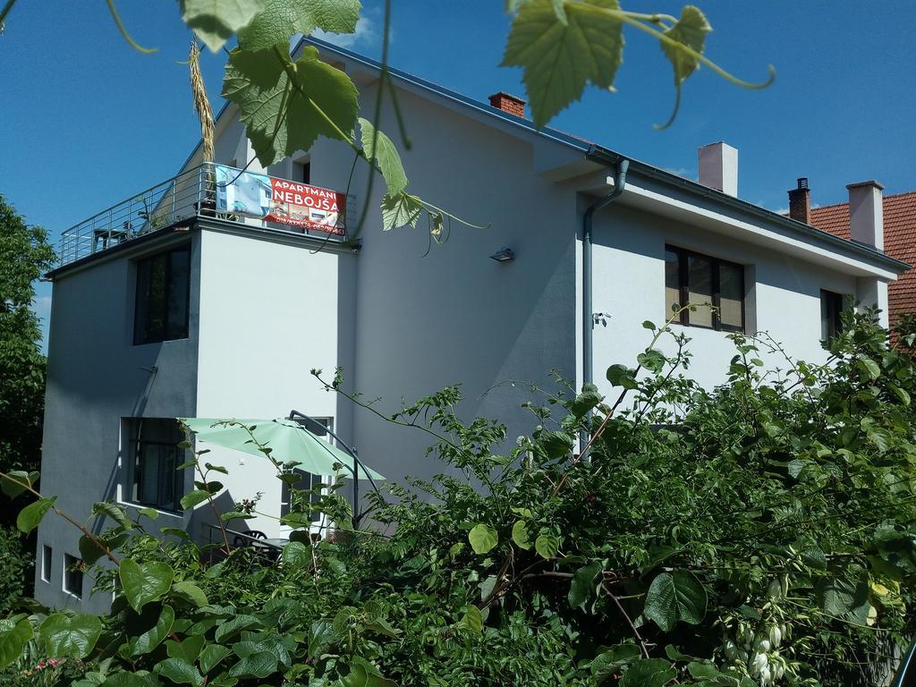 Apartments Nebojsa Soko Banja Bagian luar foto