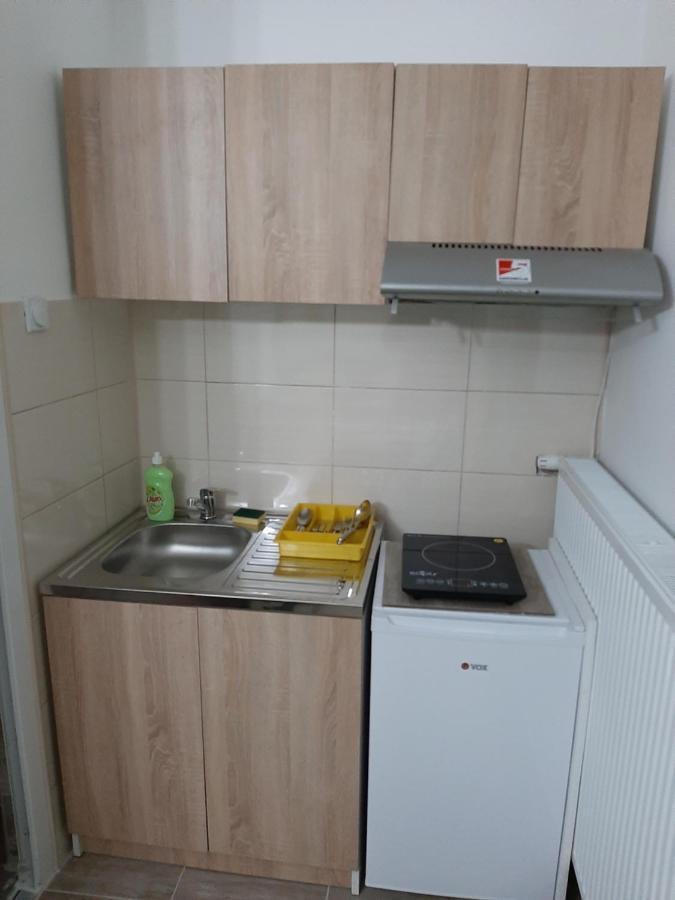 Apartments Nebojsa Soko Banja Bagian luar foto